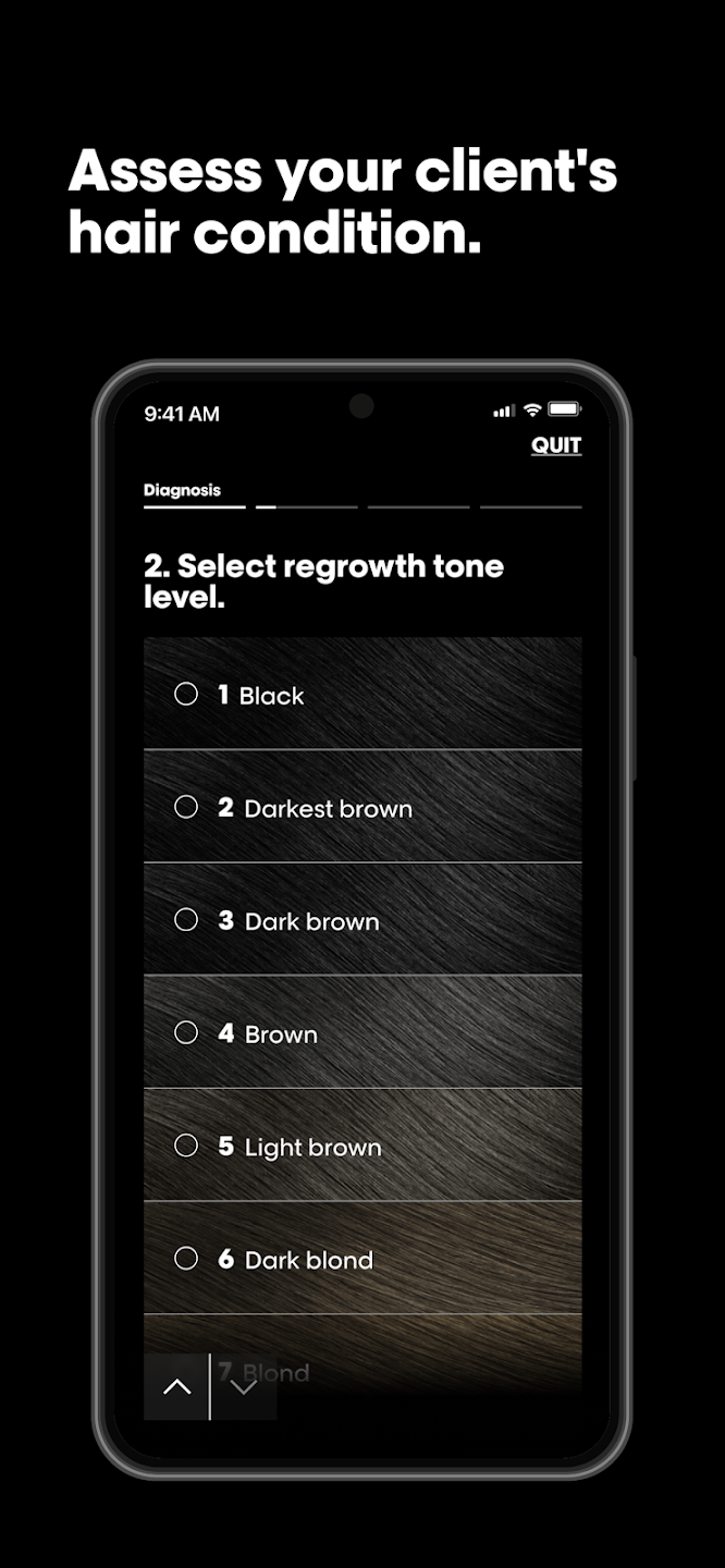 My Hair iD shade selector mapped to professional colour formulas